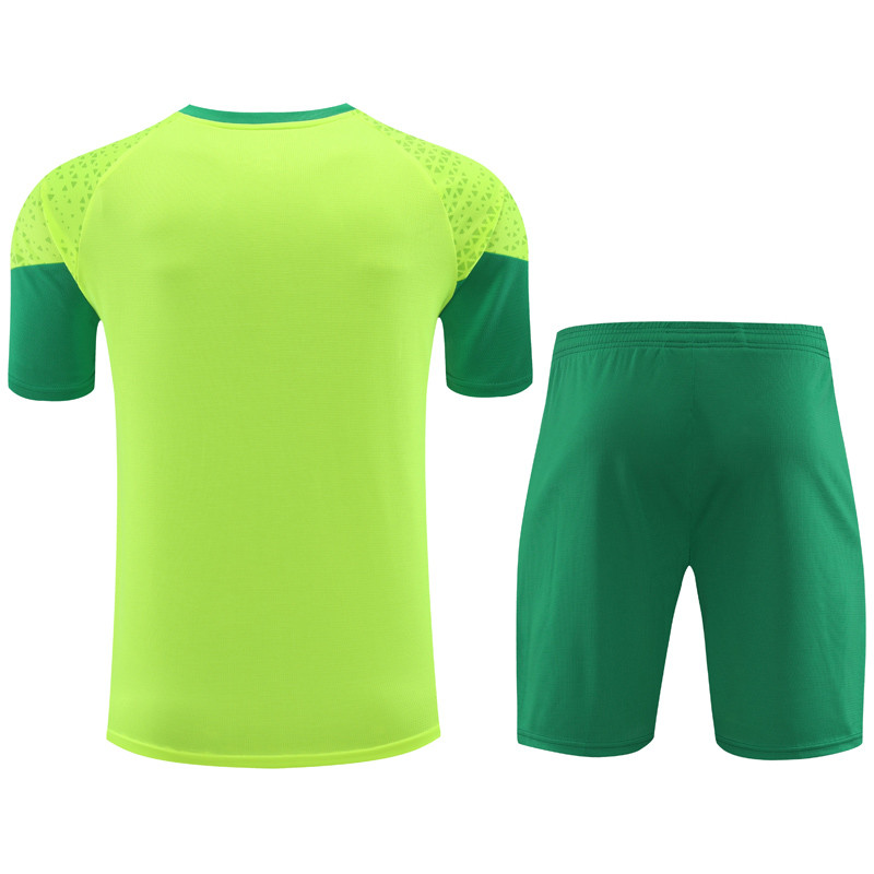 24-25 Palmeiras Fluorescent green Training Short Suit