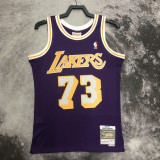 1998-99 LAKERS RODMAN #73 Purple Retro Top Quality Hot Pressing NBA Jersey