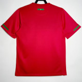 2010 Portugal Home Retro Soccer Jersey