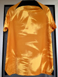 22-23 Netherlands Home World Cup Fans Soccer Jersey