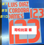 24-25 Colombia Away Player Version Soccer Jersey