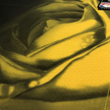 22-23 WARRIORS THOMPSON #11 Black City Edition Top Quality Hot Pressing NBA Jersey