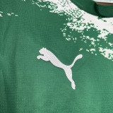24-25 Palmeiras Green Special Edition Training shirts