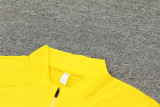 Mens Borussia Dortmund Training Suit Yellow 2024/25