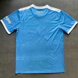 21-22 Napoli Sky blue Commemorative Edition Fans Soccer Jersey