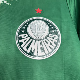 24-25 Palmeiras Green Special Edition Training shirts