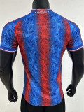 24-25 Crystal Palace Home Player Version Soccer Jersey