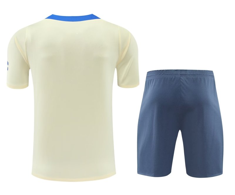 Mens Inter Milan Short Training Suit Yellow 2024/25