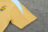 24-25 France Yellow Training Short Suit