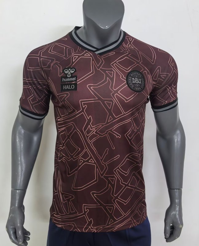 Mens Denmark Special Dark Red Jersey 2025