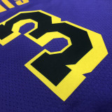 22-23 LAKERS DAVIS #3 Purple Top Quality Hot Pressing NBA Jersey (Trapeze Edition)