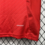 24-25 Benfica Home 1:1 Fans Soccer Jersey