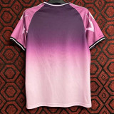 23-24 Japan Purple Pink Special Edition Fans Training Shirts