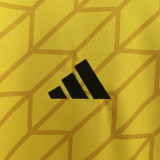 24-25 Colo-Colo Yellow GoalKeeper Fans Soccer Jersey