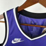 Mens Sacramento Kings Nike Purple Hardwood Classic Swingman Jersey