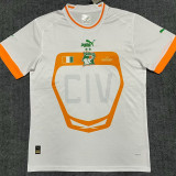 22-23 Ivory coast Away Fans Soccer Jersey