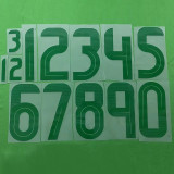 24-25 Algeria White Green Special Edition Player Version Soccer Jersey #A32