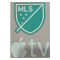 MLS /TV (专用色/章下白TV)印左袖