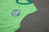 24-25 Palmeiras Light green Tank top and shorts suit