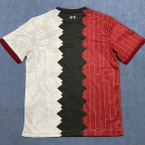 24-25 LIV Stitching Color Special Edition Training Shirts