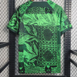 22-23 Nigeria Home Fans Soccer Jersey