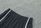 24-25 LIV Dark gray Training Short Suit