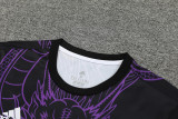24-25 Real Madrid   Purple Training Short Suit