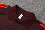 Mens Bayern Munich Polo Shirt Burgundy 2024/25