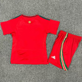 24-25 Wales Home Kids Soccer Jersey