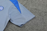 24-25 INT Grey Training Short Suit