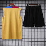 24-25 Mens Barcelona  Earthy Gold Vest Short traning suit