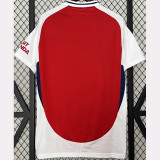 24-25 ARS Home 1:1 Fans Soccer Jersey