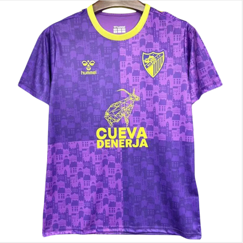 24-25 Malaga Purple Training shirts