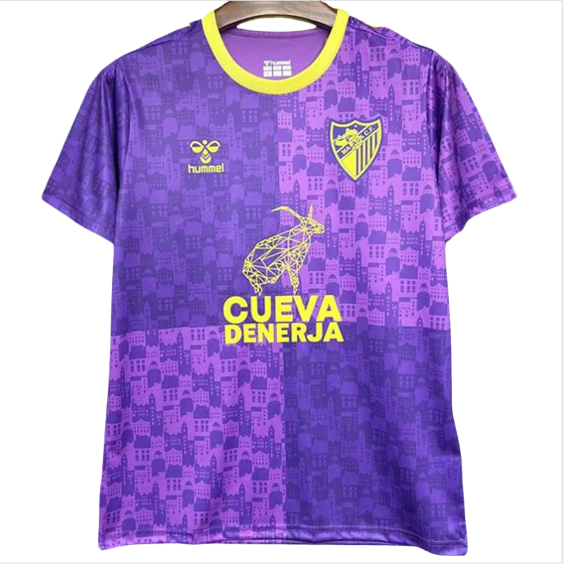 24-25 Malaga Purple Training shirts
