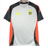 24-25 Benfica Grey Training Shirts