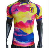 2024 Japan Yellow blue Special Edition Player Version Soccer Jersey 经典款2