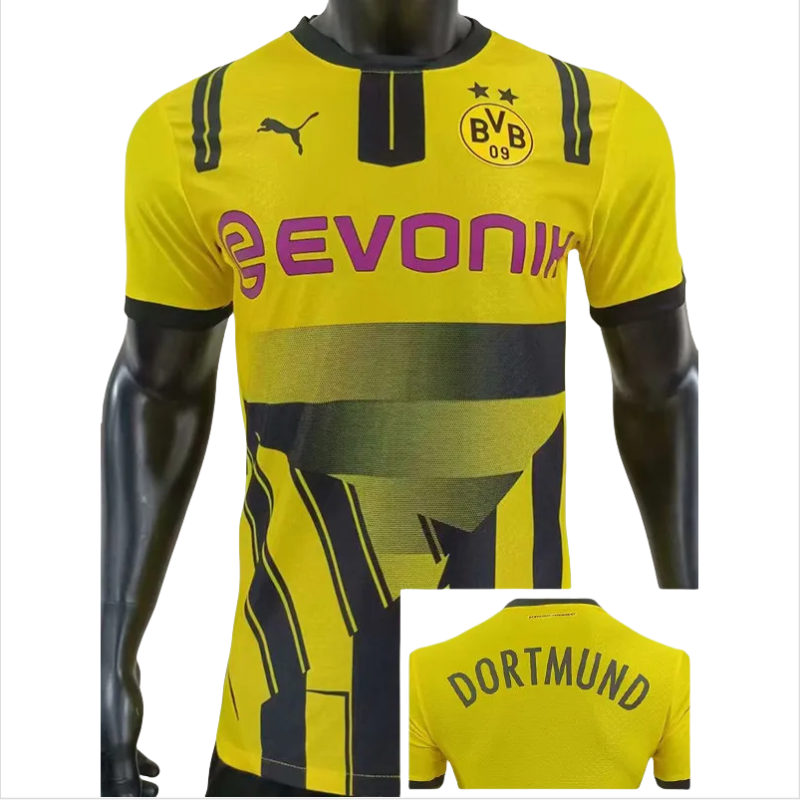 24-25 Dortmund Cup Match Edition Player Version Soccer Jersey