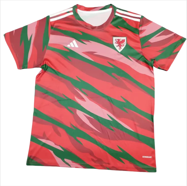 24-25 Wales Red Training shirts