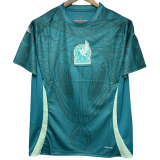 24-25 Mexico Green Blue Training shirts