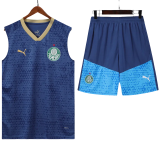 24-25 Palmeiras Royal blue Tank top and shorts suit