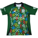 24-25 Tigres UANL Green Limited Edition Fans Soccer Jersey