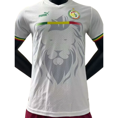 2024 Senegal White Player Version Soccer Jersey
