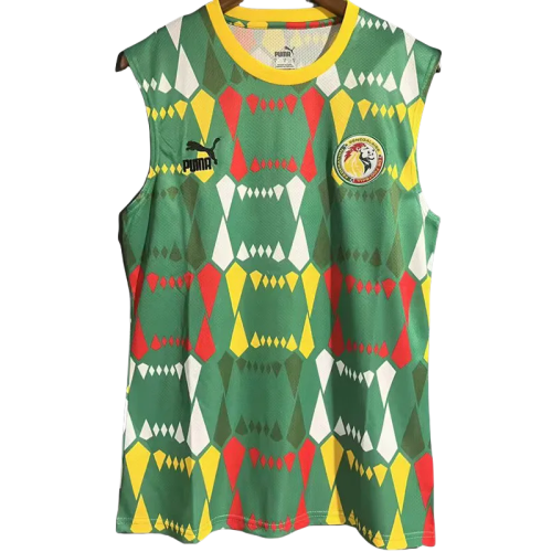 23-24 Senegal Green Vest