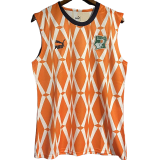 23-24 Ivory coast Orange Vest