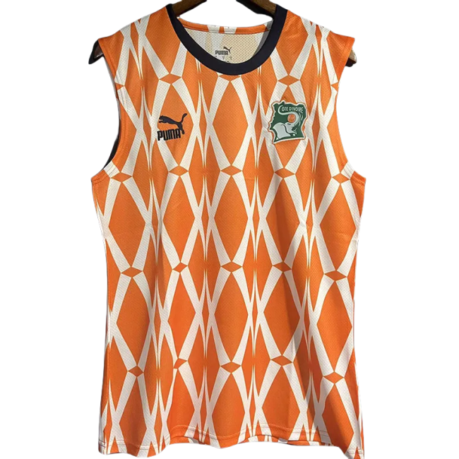 23-24 Ivory coast Orange Vest