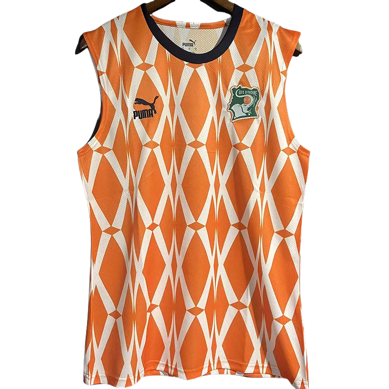 23-24 Ivory coast Orange Vest