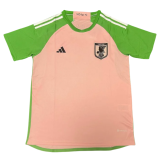 2023 Japan Pink Green Special Edition Fans Soccer Jersey