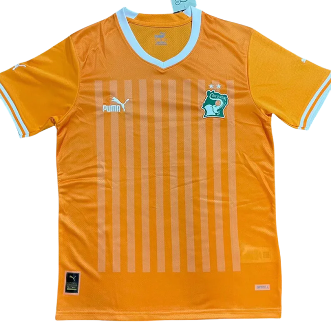 22-23 Ivory coast Home Fans Soccer Jersey