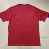 2010 Spain Home Retro Soccer Jersey