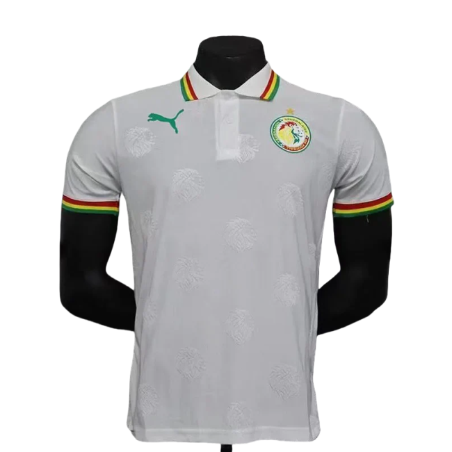 24-25 Senegal White Special Edition Player Version Training shirts